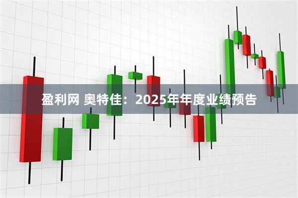 盈利网 奥特佳：2025年年度业绩预告