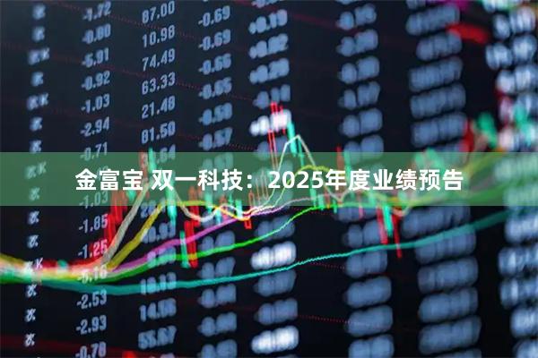 金富宝 双一科技：2025年度业绩预告